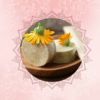 BANNER COSMETICA SOLIDA