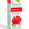 GERANIO