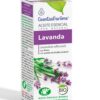 LAVANDA